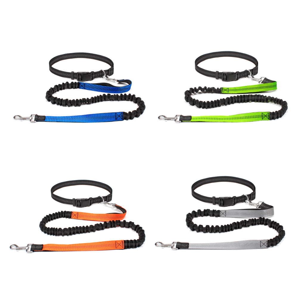 Hand Free Dog Leash for Pet Wa - Running Gear Dog 评论和价格