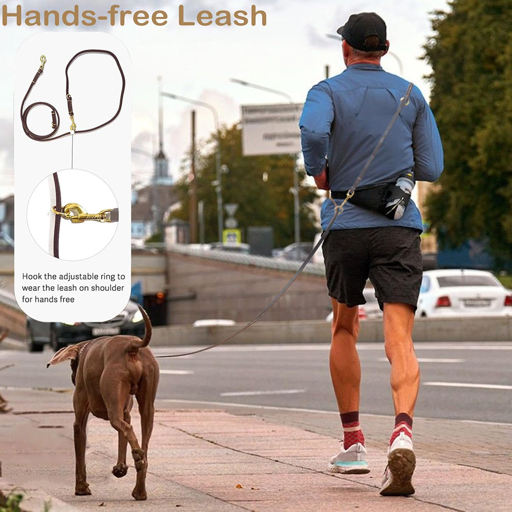 Multi Function Leather Dog Lea - Running Gear Dog 评论和价格