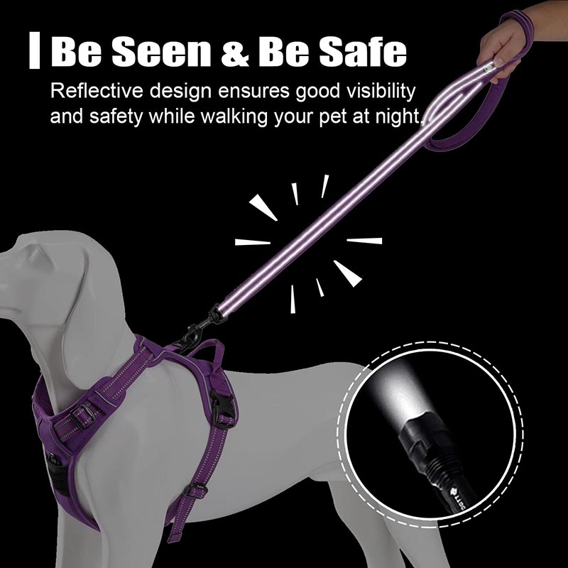 Truelove 200Cm Nylon Dog Lead  - Running Gear Dog 评论和价格